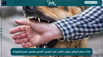 لماذا يحلم البعض بعض الكلاب لليد اليمنى؟ تفسير مفصل للرمز وتأويلاته